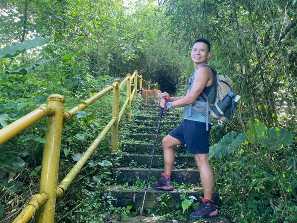 三寶山(烏心石山.鳩州嶺.尖凍山)步道【變成夢魘的大秘寶】2639873