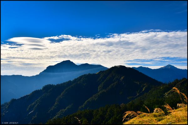 玉山杜鵑與奇萊群峰 @ 小奇萊步道325682