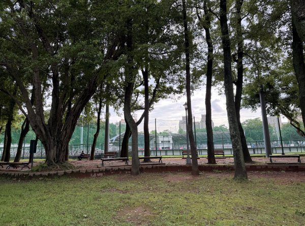 [2026臺北健走趣-06/50] 2026_0712_青年公園3098533
