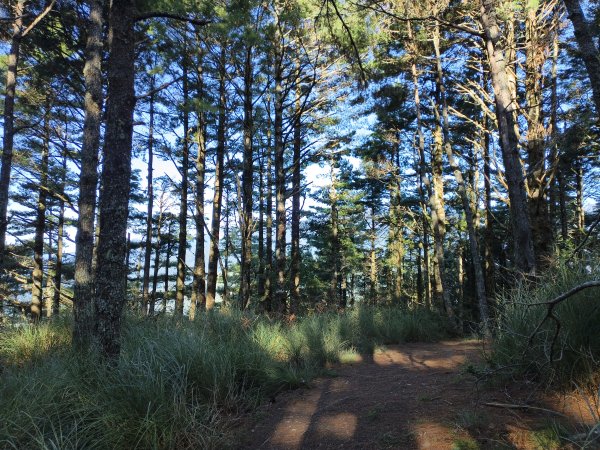 北一段(02/14)多加屯前峰2025_0906~132885111