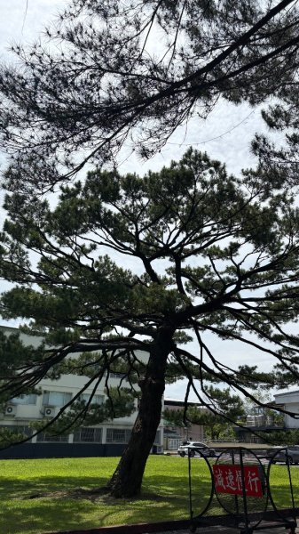 綠衫林公園2800880