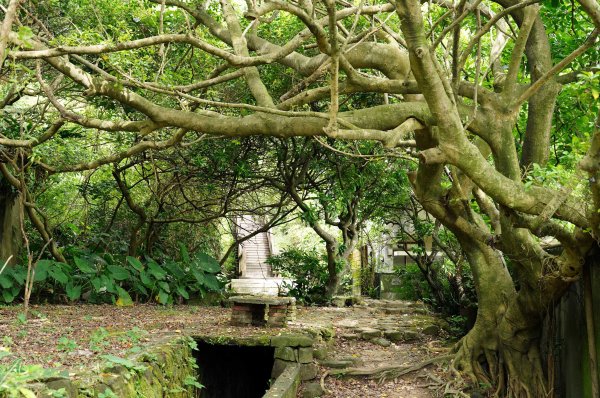 新北 瑞芳 南子吝山2836949