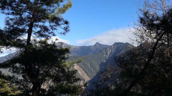 東埔山登山健行趣(中級山)2031806