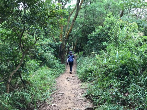 飛鳳山觀日坪連走中坑山388281