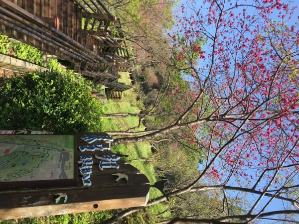 福氣步道、養生步道、長庚養生文化村2441860