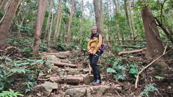 肥大醜三崠連走，鳶嘴西陵上鳶嘴山2650323