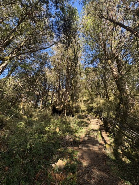 20251225塔山步道(大塔山)2970359