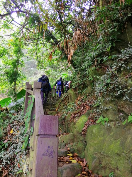 台南東山~山上尋悠。 #65小百岳崁頭山915989