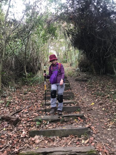 隱藏寧靜望美部落的望美山、望高寮、瓊山482375