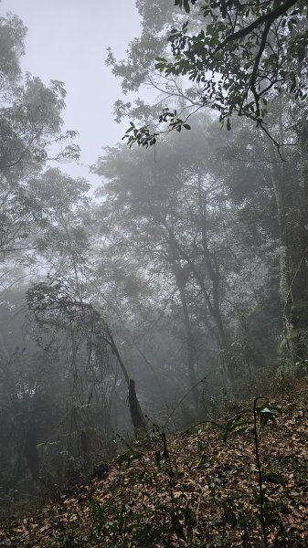 【撤退是智慧而非勇氣】17訪魔王小百岳-尾寮山。2995107