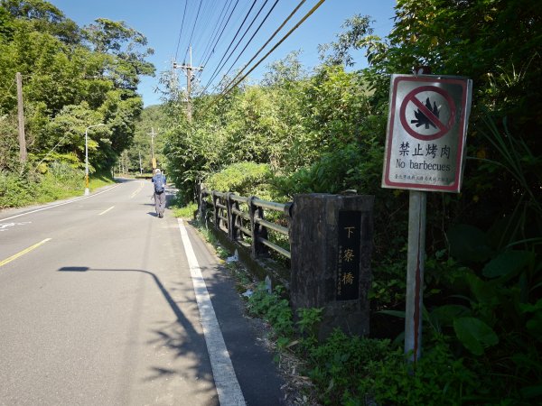 [淡蘭古道] 2026_0614 南路第二段_倒照湖山步道3096898