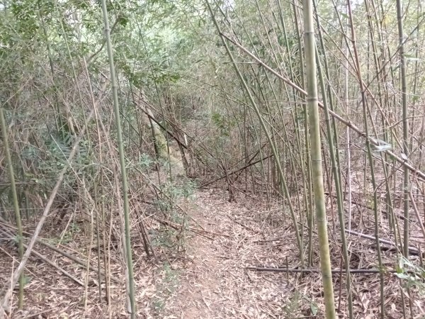 寶山鄉寶山水庫(寶山東峰+中峰+中西峰+西峰+西北峰)+尖山O型3012572