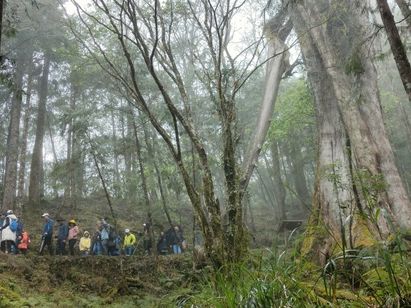 神木園步道2371879