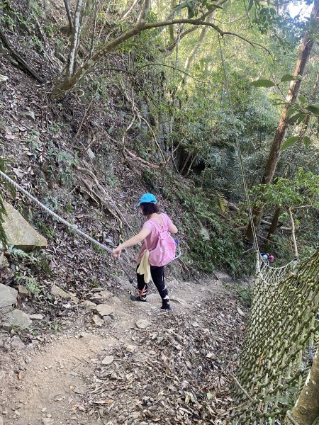 1111120泰安鄉鳥嘴山2672981