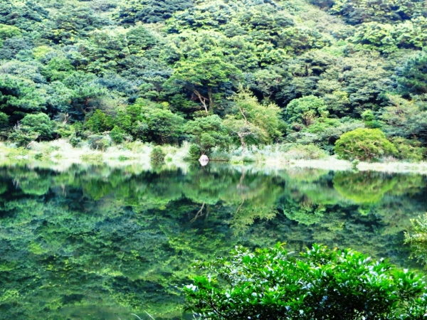 向天池(向天山)雜記25231