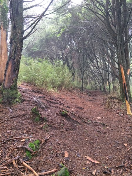 石水山&真鹿林山1429840