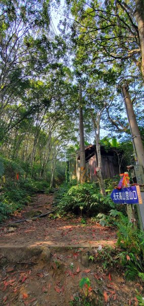 2023-03-18向天湖山步道2076602