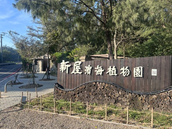 永安漁港、新屋海濱植物園2657308