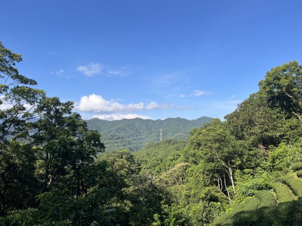 [淡蘭古道] 2025_0802 南路第四段2850819