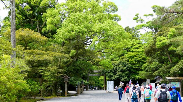 伊勢神宮,鬼之城,速玉神社2807139
