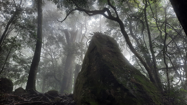 《新竹》不見五指｜北埔五指山登山步道上中指峰