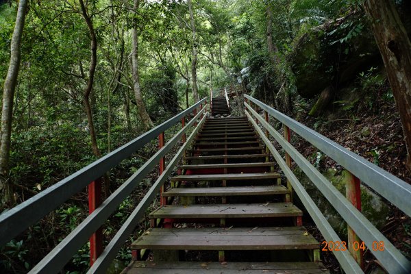 苗栗 泰安 虎山2107188