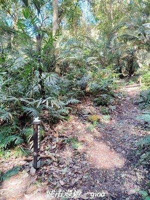 【台中和平】生態廊道。 雪山坑環線步道x巨人之手觀景點2954000