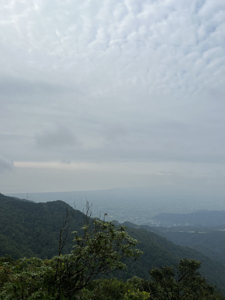 小百岳-三角崙山2637399