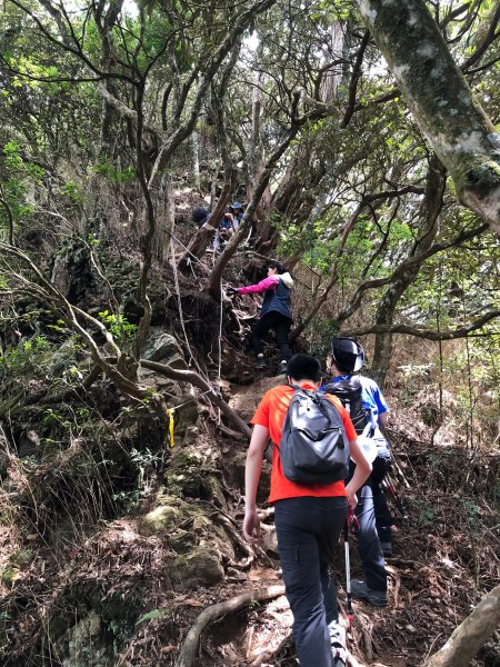 中級山-高島縱走2888440