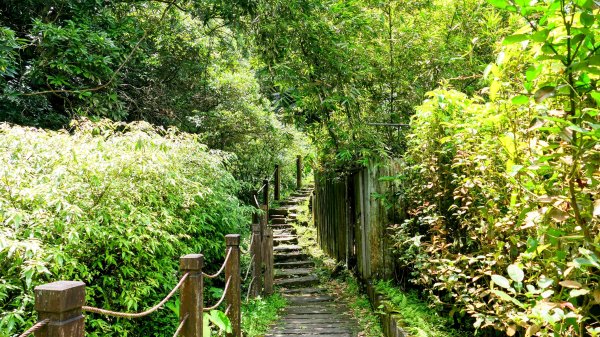 微笑山線銀河洞越嶺段2852814