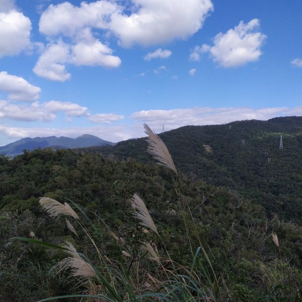 金面山親山步道768289