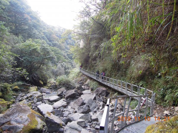 20191110_石山&石山引水道843993