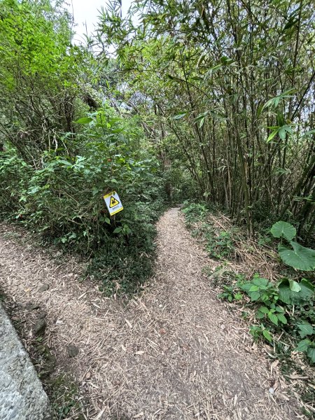 觀音山硬漢嶺 22899088