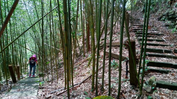 水雲三星【橫龍山】2019/10/06695247