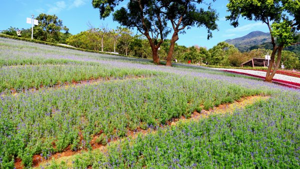 三層崎的呢喃2692132