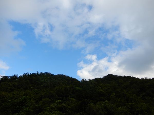 20170923_平湖森林遊樂區東西步道170468