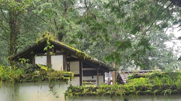 2025-0221 明池步道2718241