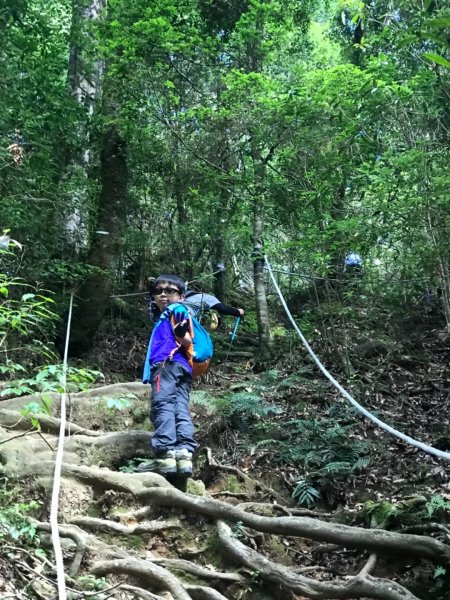 稍來南峰上稍來山遠看鳶嘴山714494