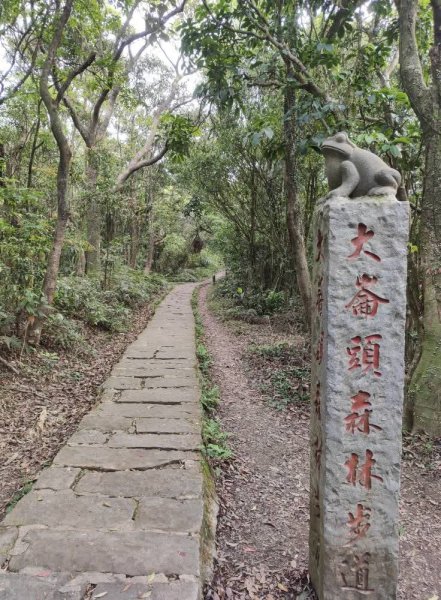 1140404大崙頭山親山步道3100027