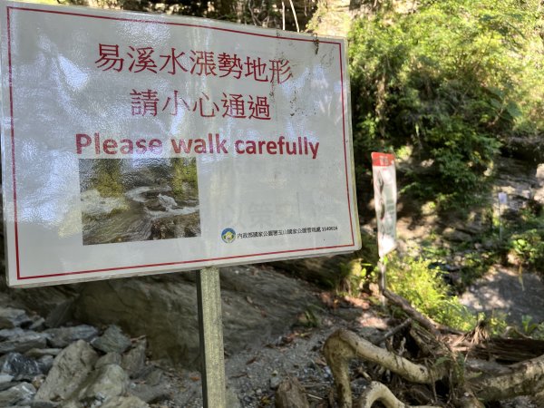 [玉山尋寶任務-03/12] 2025_0810 瓦拉米步道2857493