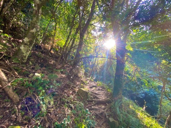 水雲三星/鳳~鳥嘴山1255760