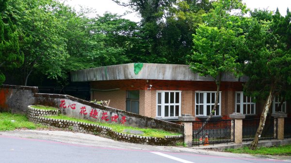 菁礐古圳步道,第51及64番石佛3040732