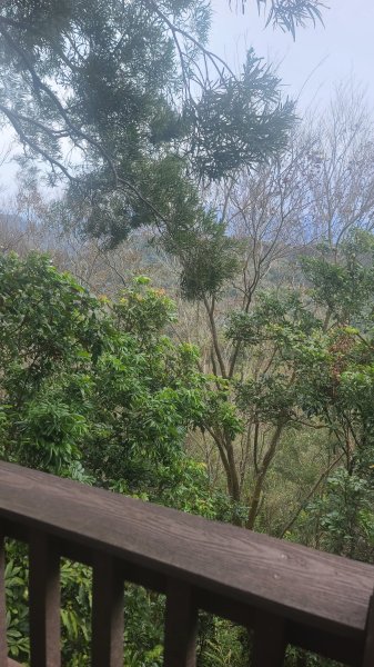 2025-0208聚興山小百岳2710905