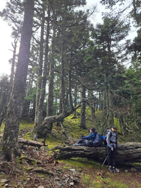 20240927 志雪劍2615010