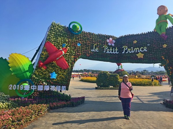 2019新社花海2019/11/12734650