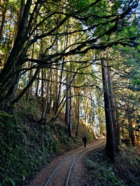 特富野古道-2024嘉遊好步道．來嘉走走2674368