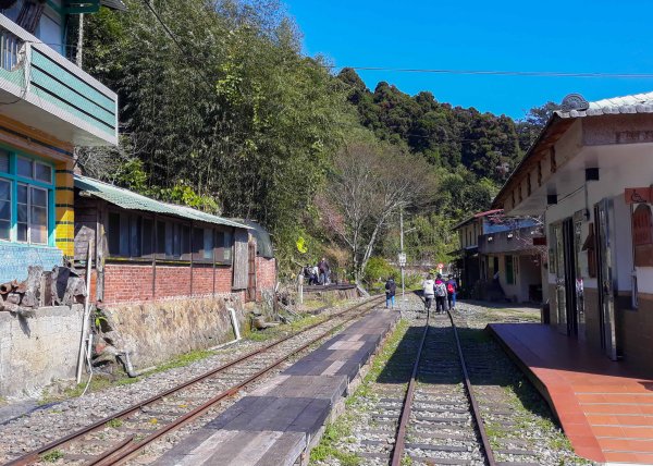 步道巡訪員│四大天王山步道二月巡訪日誌820777