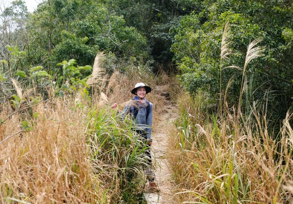 觀望山(德文山)2736161