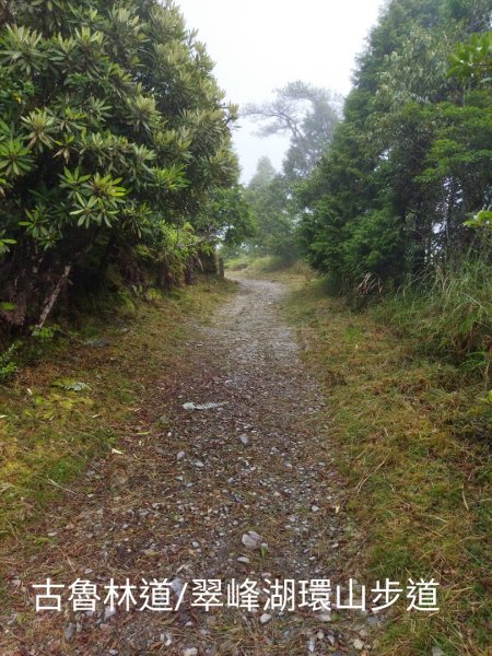 翠峰湖環山步道O行1752296