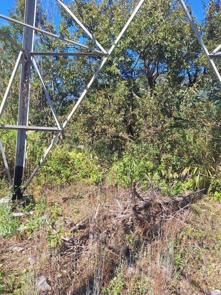 上谷關山202511202940859